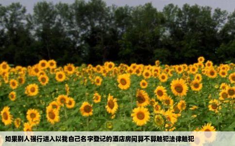 如果别人强行进入以我自己名字登记的酒店房间算不算触犯法律触犯