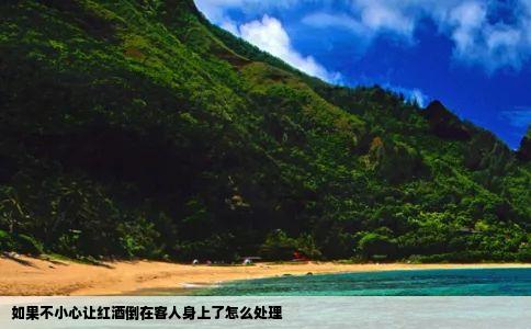 如果不小心让红酒倒在客人身上了怎么处理