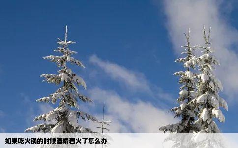 如果吃火锅的时候酒精着火了怎么办