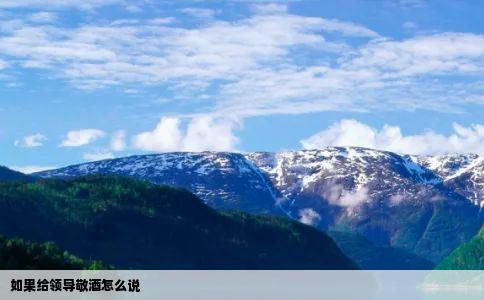 如果给领导敬酒怎么说