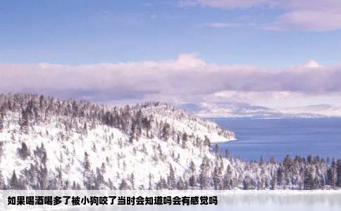如果喝酒喝多了被小狗咬了当时会知道吗会有感觉吗