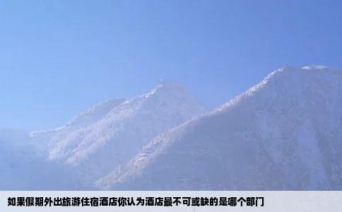 如果假期外出旅游住宿酒店你认为酒店最不可或缺的是哪个部门
