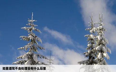如果酒驾不去处理会有什么后果