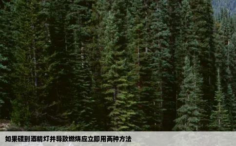 如果碰到酒精灯并导致燃烧应立即用两种方法