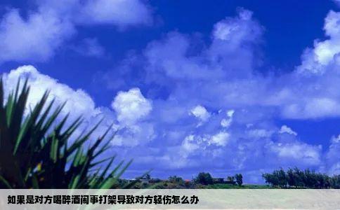 如果是对方喝醉酒闹事打架导致对方轻伤怎么办