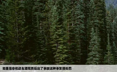 如果是非机动车酒驾然后出了事故这种事怎摸处罚