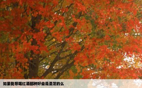 如果我想喝红酒那种好些是圣芝的么