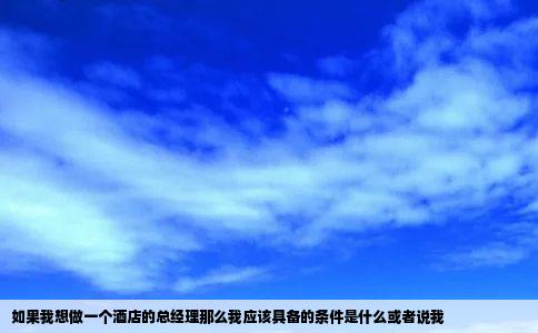 如果我想做一个酒店的总经理那么我应该具备的条件是什么或者说我