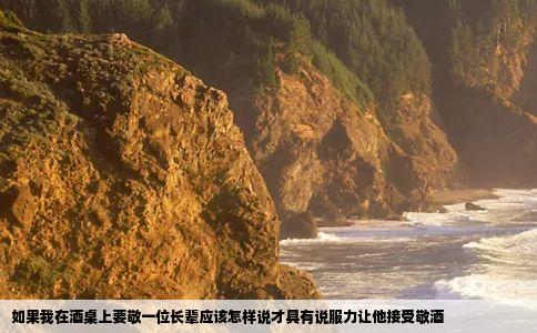 如果我在酒桌上要敬一位长辈应该怎样说才具有说服力让他接受敬酒