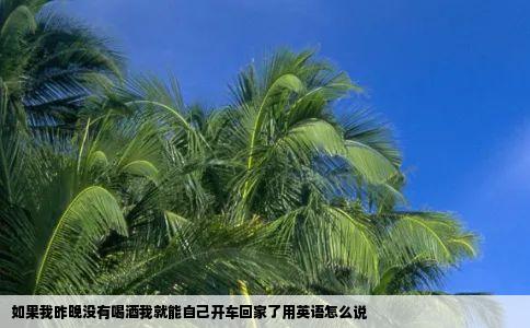 如果我昨晚没有喝酒我就能自己开车回家了用英语怎么说
