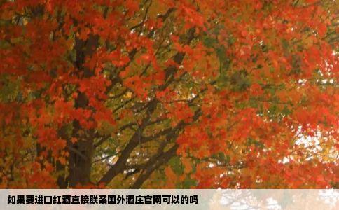 如果要进口红酒直接联系国外酒庄官网可以的吗