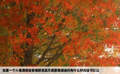 如果一个人喝酒很容易喝醉而且又很爱喝酒请问有什么好办法可以让