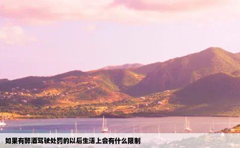 如果有醉酒驾驶处罚的以后生活上会有什么限制