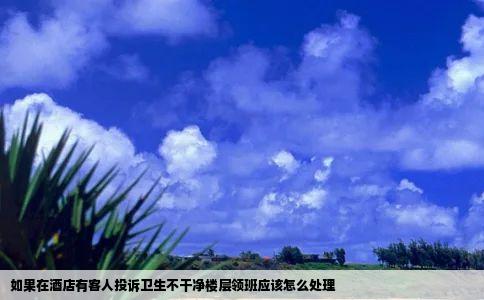 如果在酒店有客人投诉卫生不干净楼层领班应该怎么处理