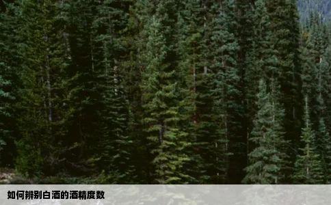 如何辨别白酒的酒精度数。