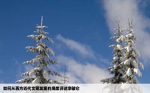 如何从西方近代文明发展的角度评述拿破仑