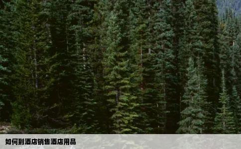 如何到酒店销售酒店用品