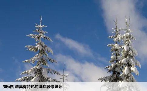 如何打造具有特色的酒店装修设计