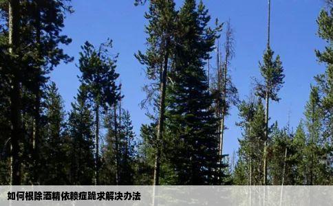 如何根除酒精依赖症跪求解决办法