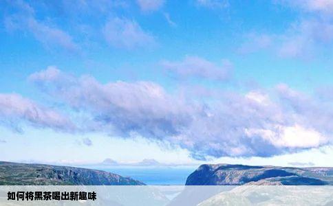 如何将黑茶喝出新趣味