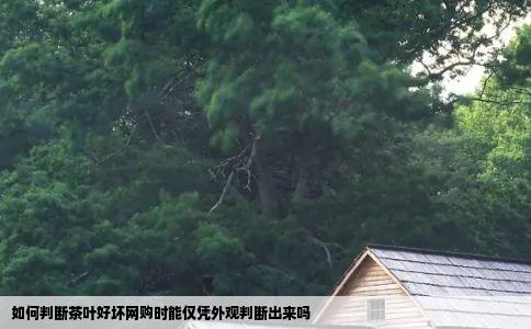 如何判断茶叶好坏网购时能仅凭外观判断出来吗