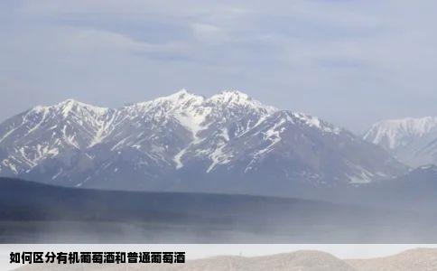 如何区分有机葡萄酒和普通葡萄酒