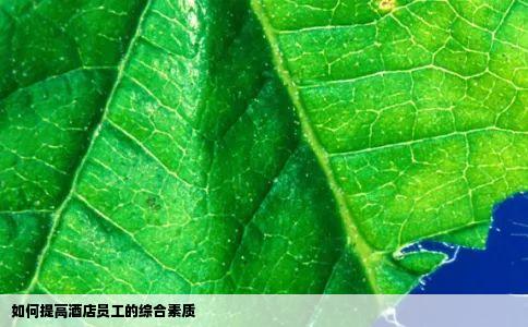 如何提高酒店员工的综合素质