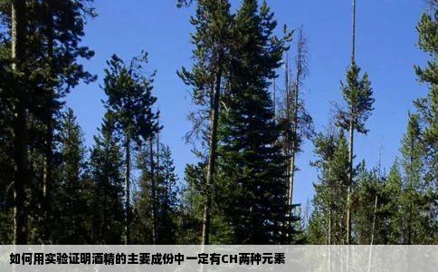 如何用实验证明酒精的主要成份中一定有CH两种元素