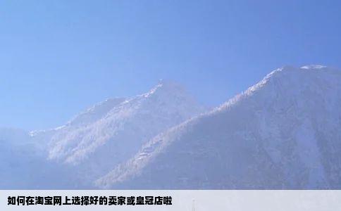 如何在淘宝网上选择好的卖家或皇冠店啦