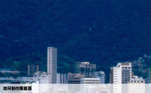 如何制作鹿鞭酒