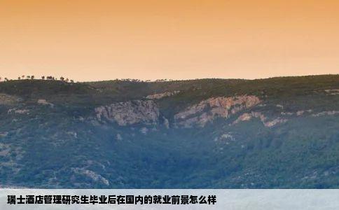 瑞士酒店管理研究生毕业后在国内的就业前景怎么样