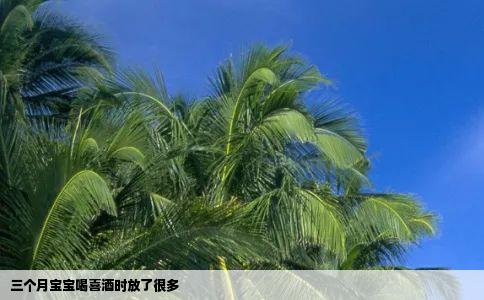 三个月宝宝喝喜酒时放了很多