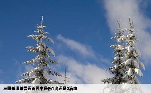 三国杀酒杀贯石斧强中是伤1滴还是2滴血