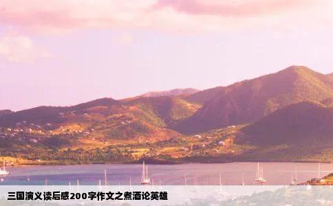 三国演义读后感200字作文之煮酒论英雄