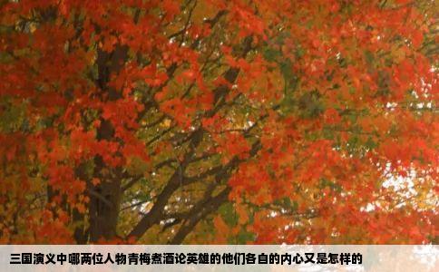 三国演义中哪两位人物青梅煮酒论英雄的他们各自的内心又是怎样的