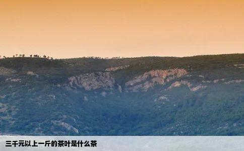 三千元以上一斤的茶叶是什么茶