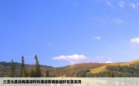 三亚比美高梅酒店好的酒店有哪些最好在亚龙湾