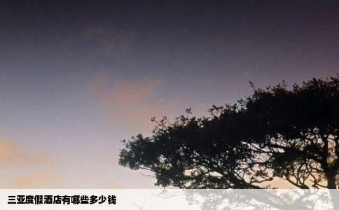 三亚度假酒店有哪些多少钱