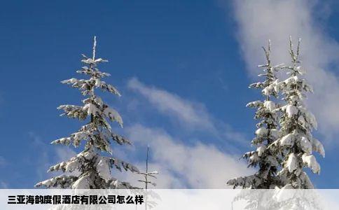 三亚海韵度假酒店有限公司怎么样