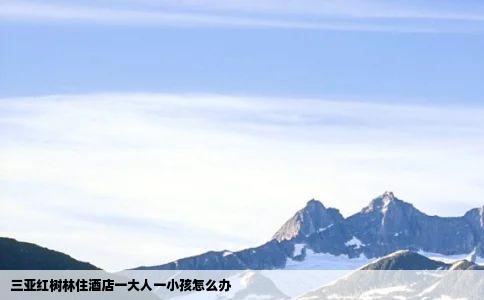 三亚红树林住酒店一大人一小孩怎么办