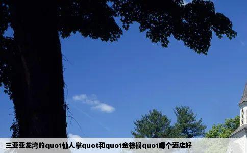 三亚亚龙湾的quot仙人掌quot和quot金棕榈quot哪个酒店好