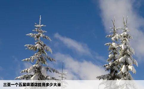 三亚一个五星级酒店能用多少大米