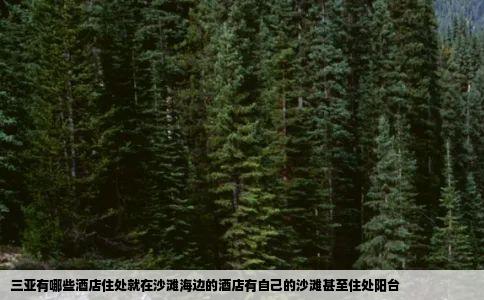 三亚有哪些酒店住处就在沙滩海边的酒店有自己的沙滩甚至住处阳台