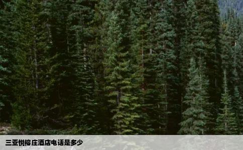 三亚悦榕庄酒店电话是多少