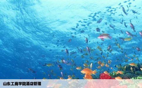 山东工商学院酒店管理