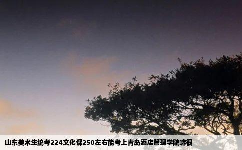 山东美术生统考224文化课250左右能考上青岛酒店管理学院嘛很