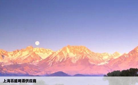 上海百威啤酒供应商