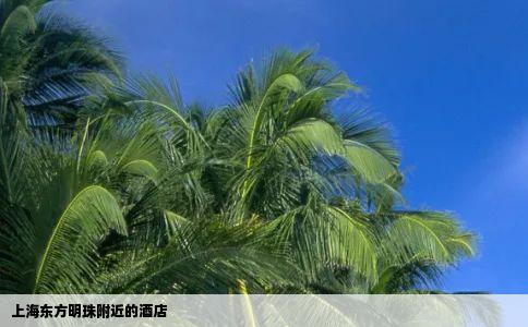 上海东方明珠附近的酒店