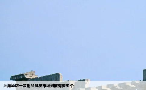 上海酒店一次用品批发市场到底有多少个