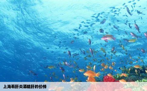 上海看肝炎酒精肝的价格